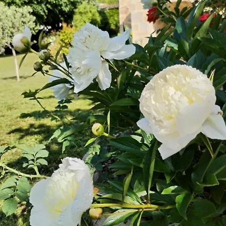 Dans Prieuré De Caractère Xviii Siècle