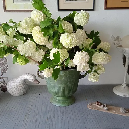 Dans Prieure De Caractere Xviii Siecle